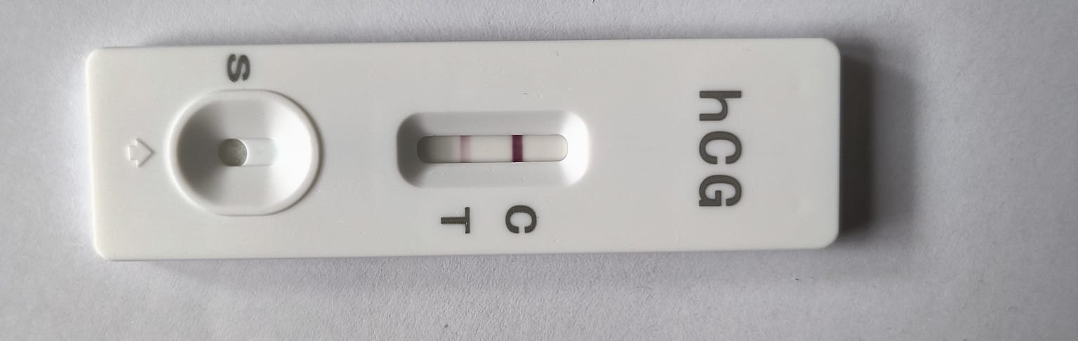 1000013038.jpg