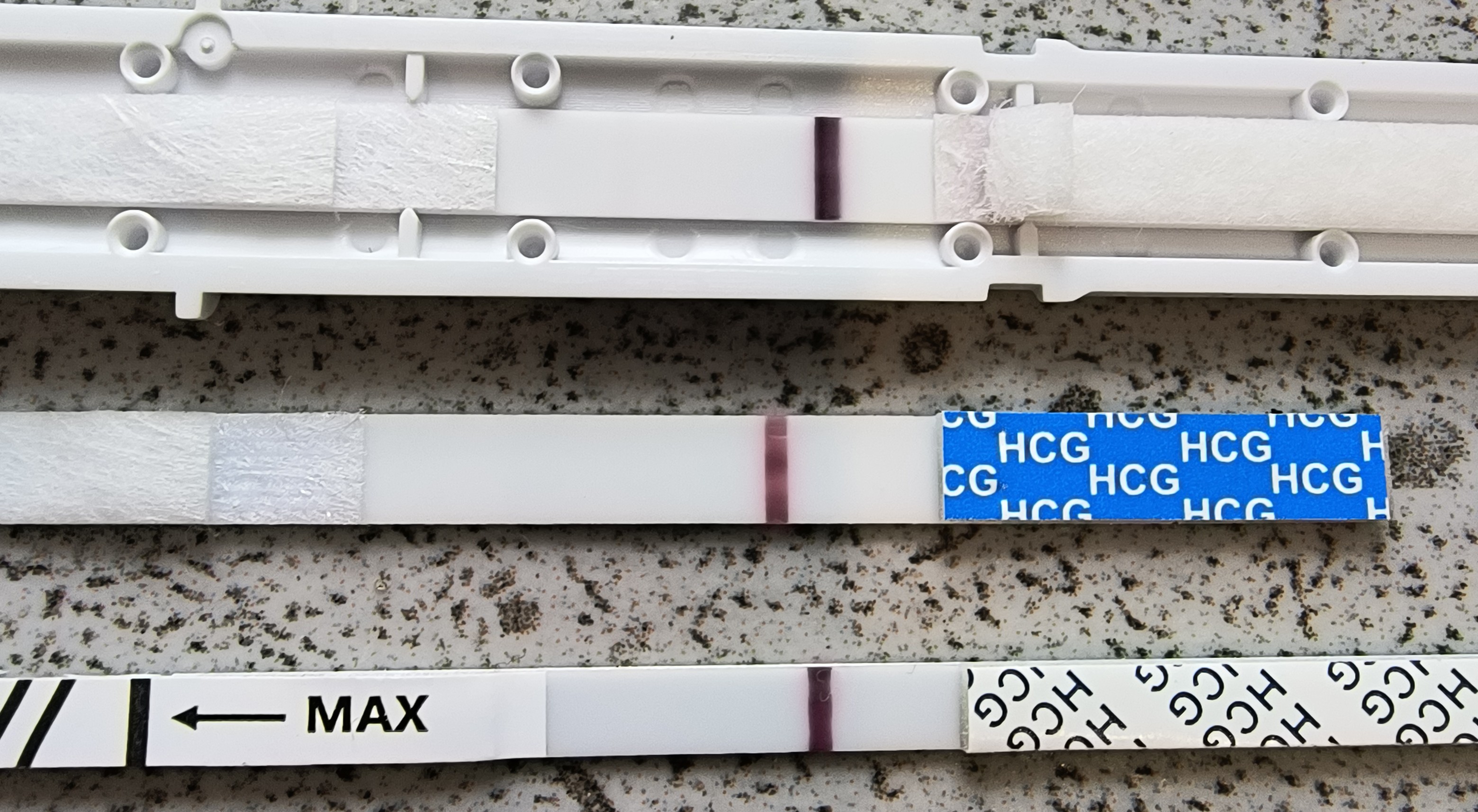 1000014758.jpg