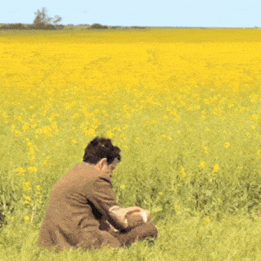 1000015255.gif