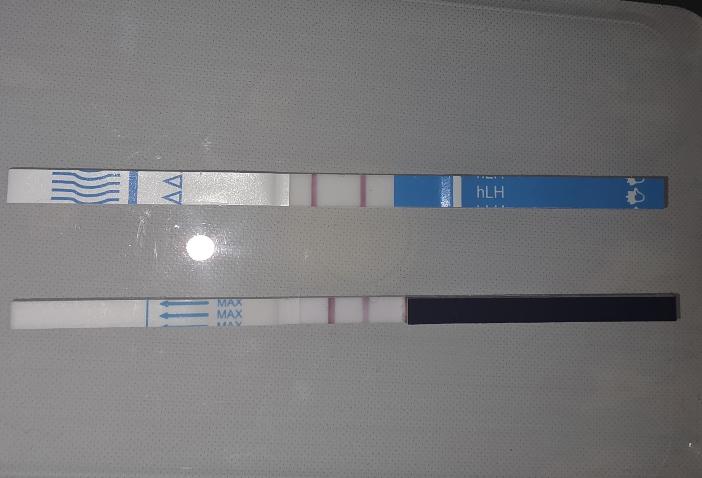 1000019575.jpg