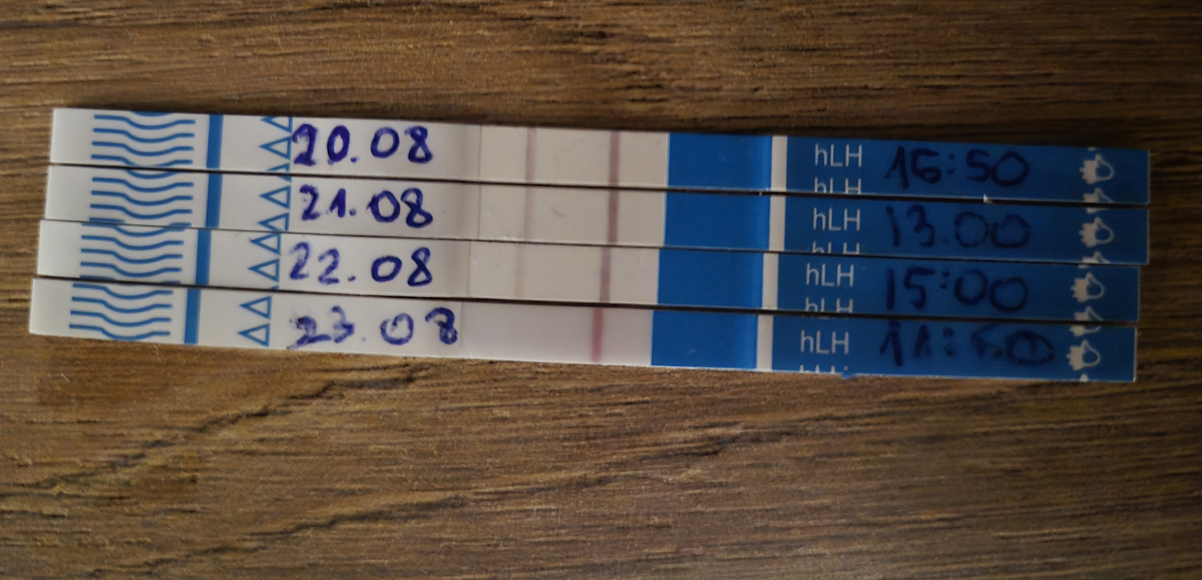1000024826.jpg