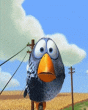 1000035869.gif