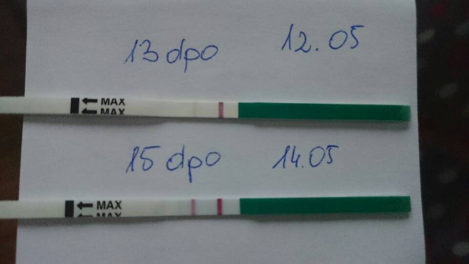 1463205188219.jpg