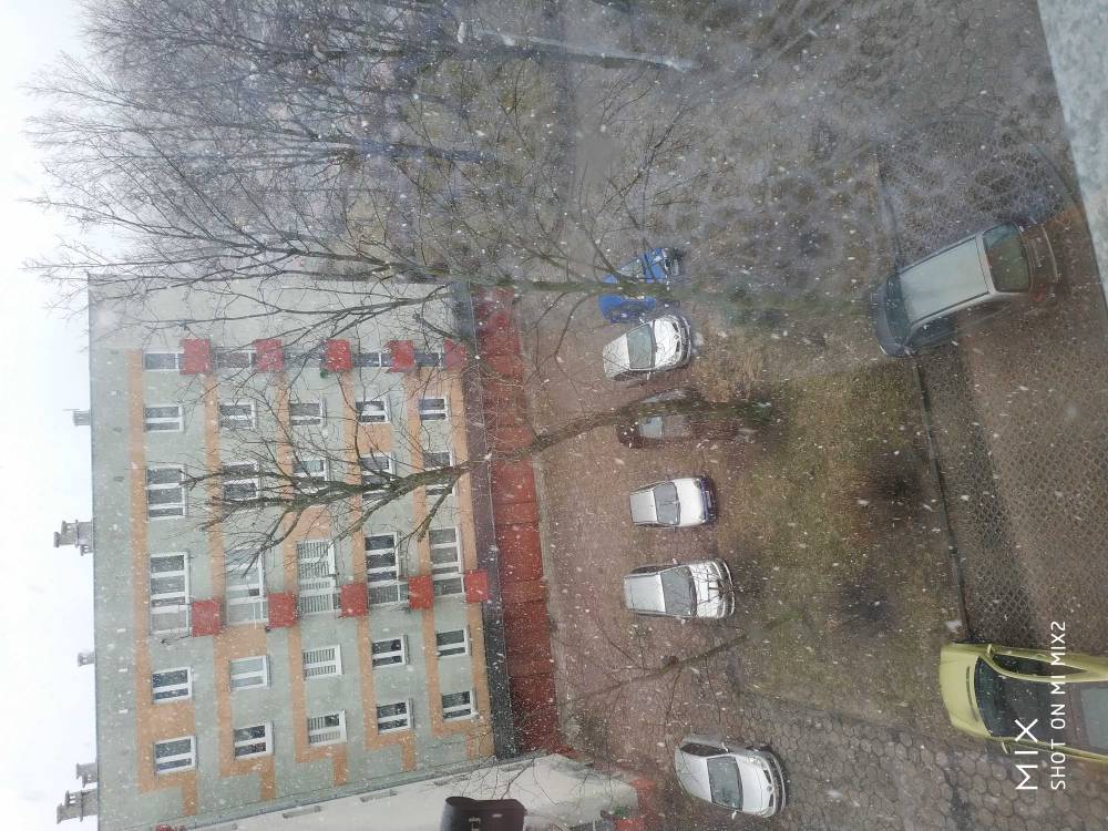 1552292769119.jpeg