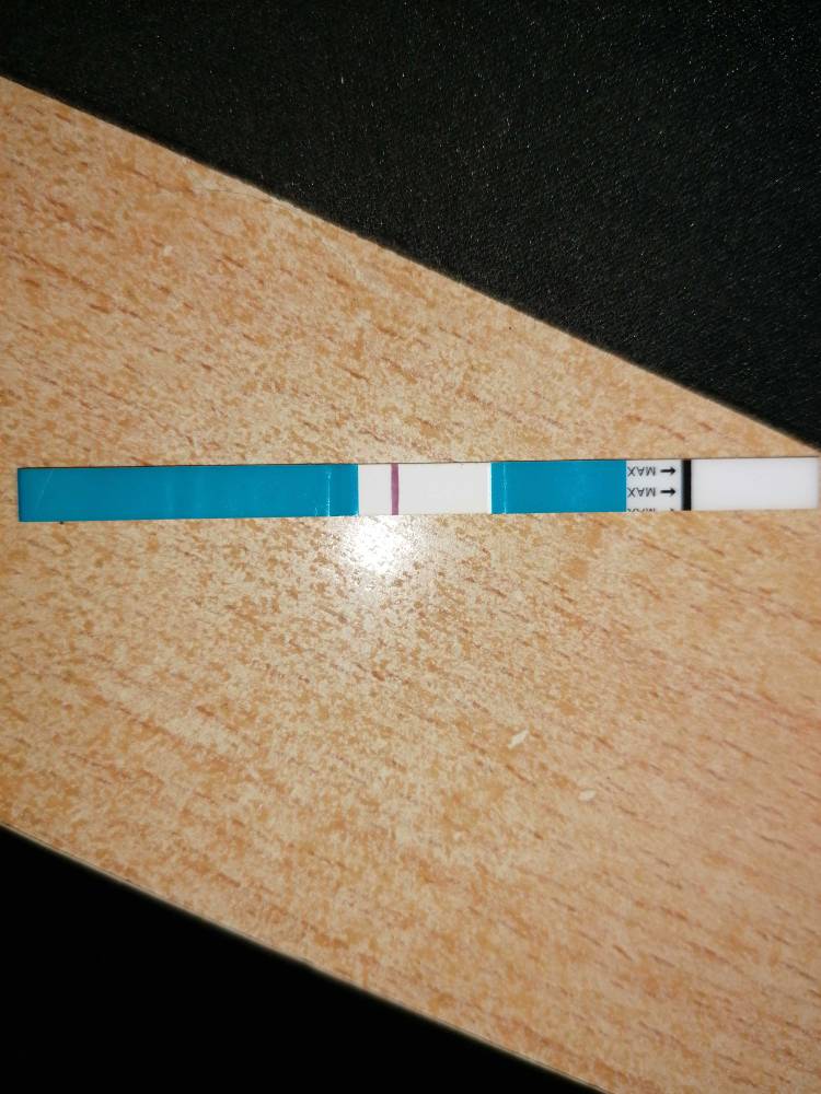 1573308825036.jpeg