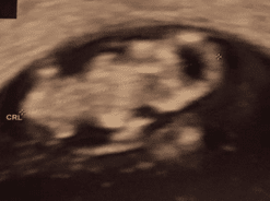 1603267846780.png