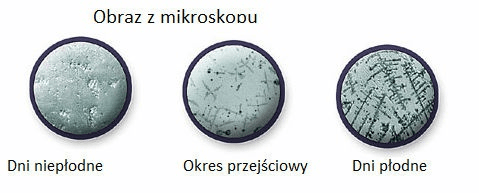 1616923607313.png