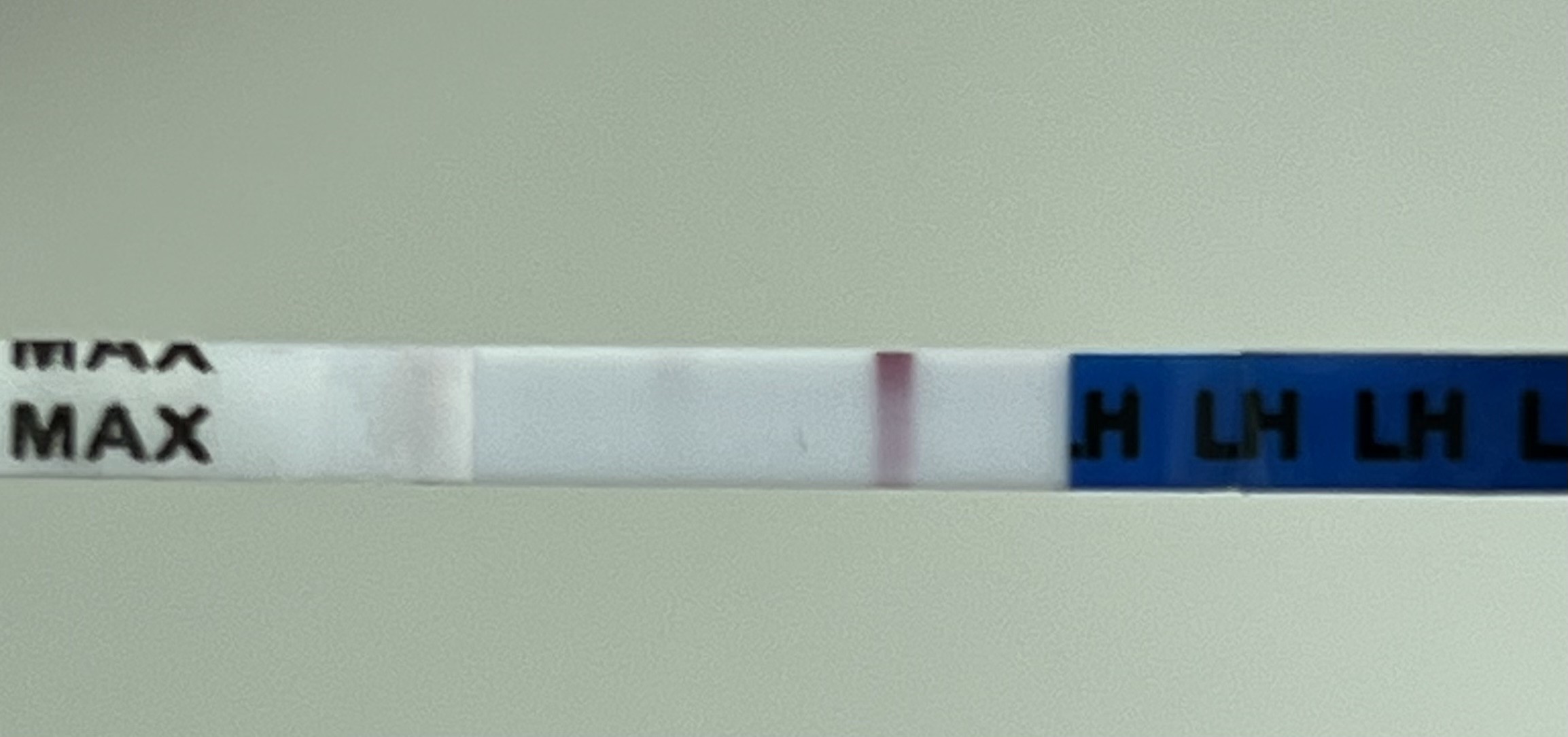 1670AB86-8B17-4B63-91A8-8AF44E72D707.jpeg