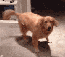 1741874379177.gif