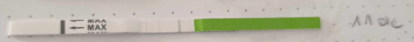 1743329145866.png