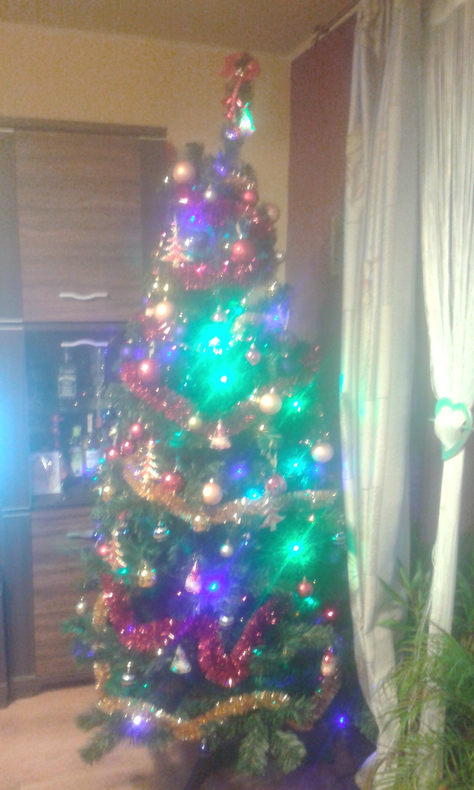 20151222_161504.jpg