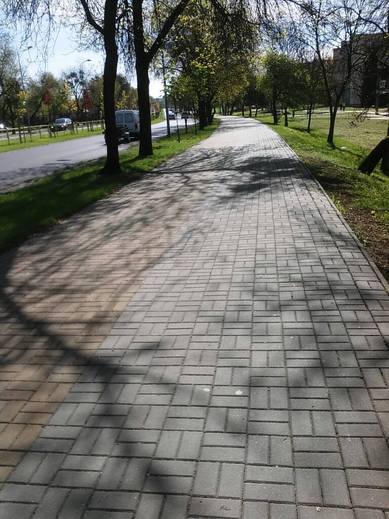 20170510_090907.jpg