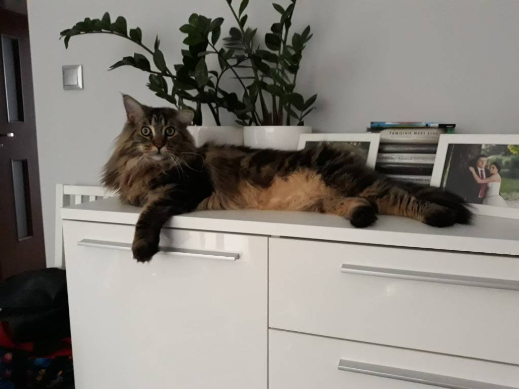 20180717_180444.jpg