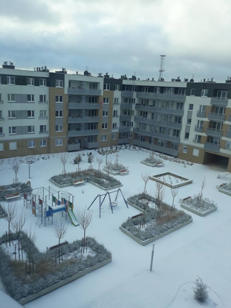 20190103_095328.jpeg