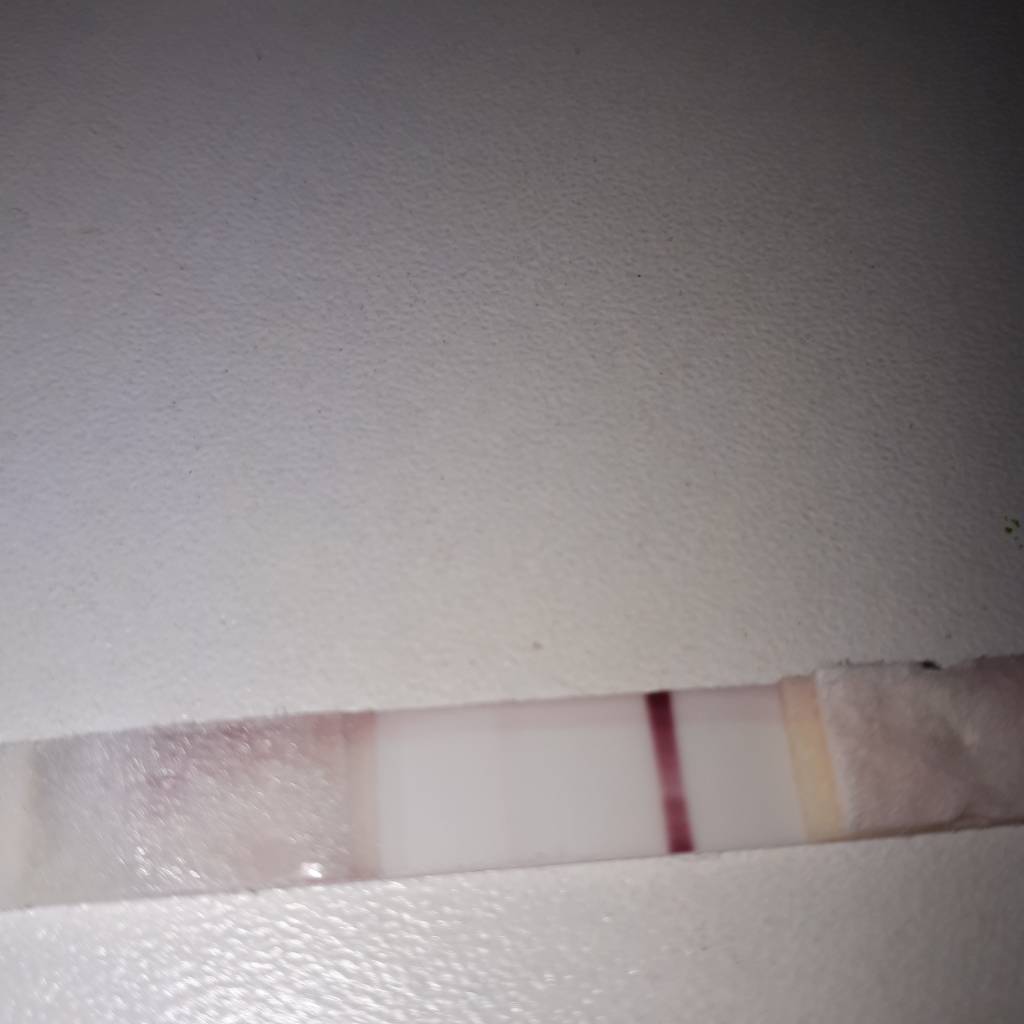 20190213_070807.jpeg
