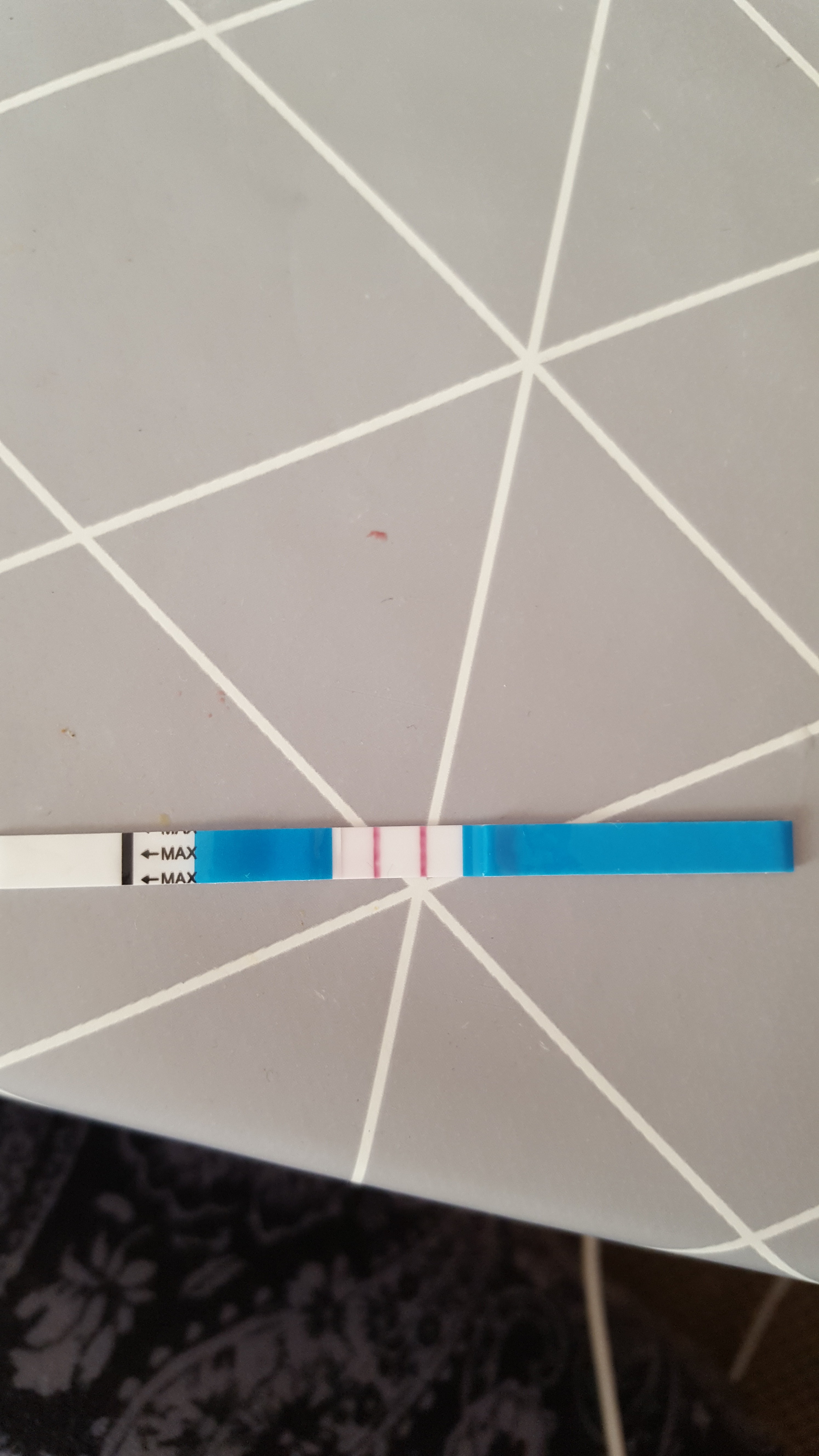 20190215_101642.jpg