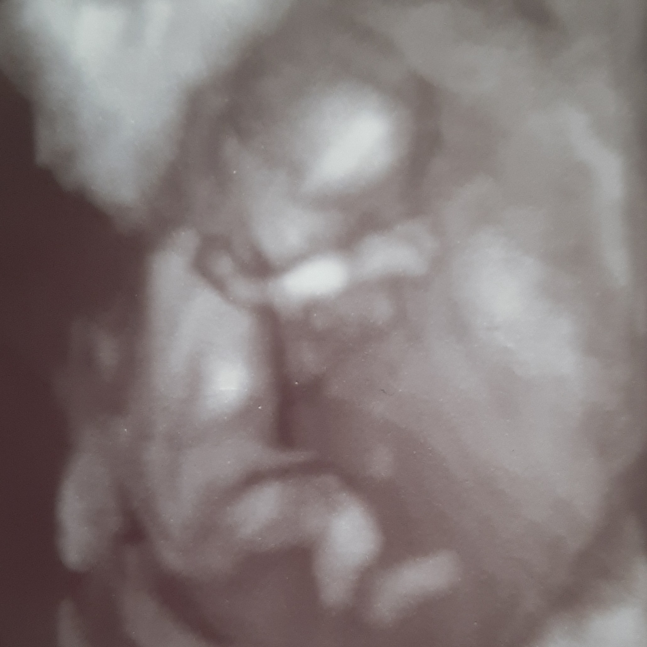 20190311_150145.jpg