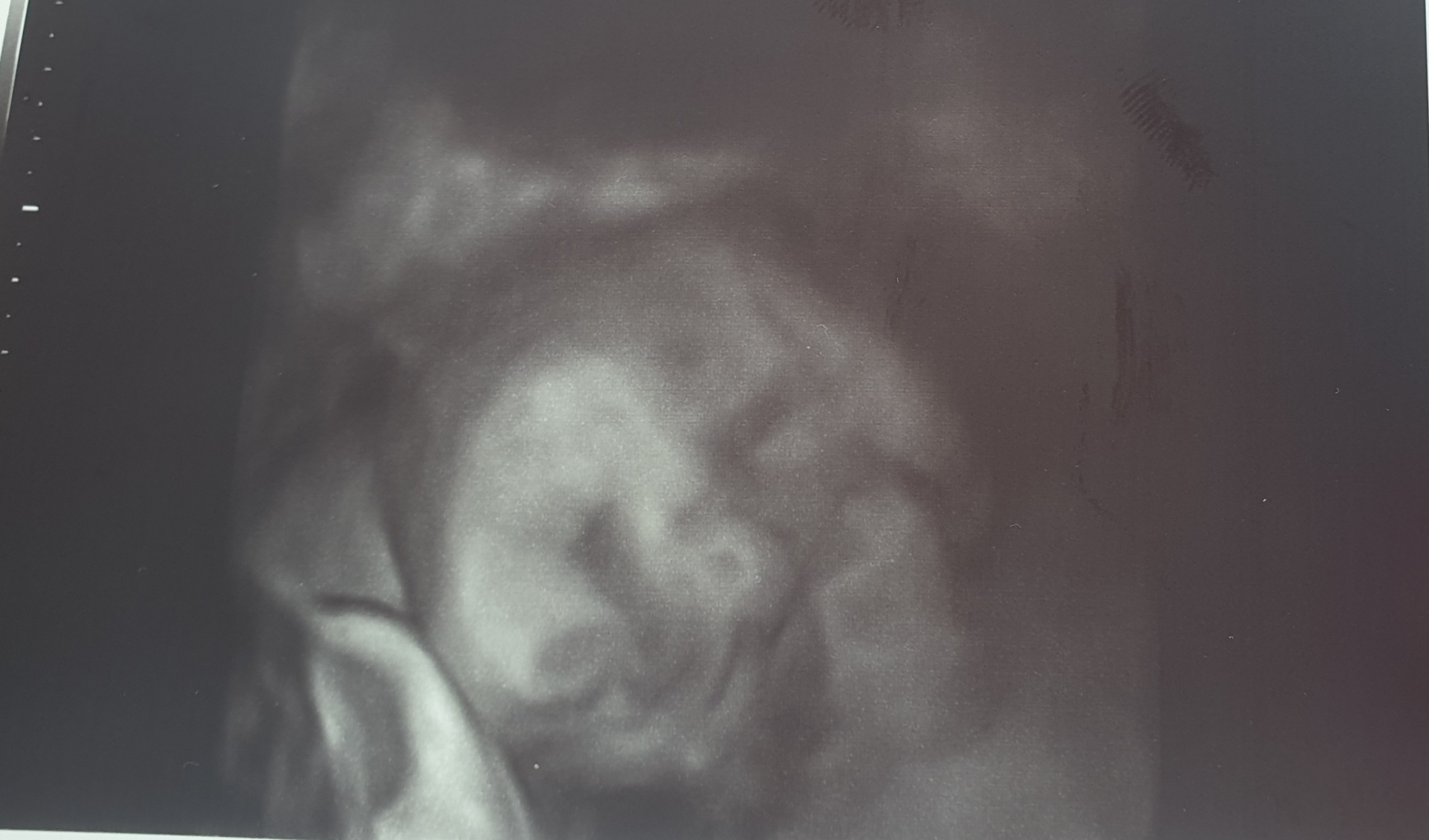 20190423_125346.jpg