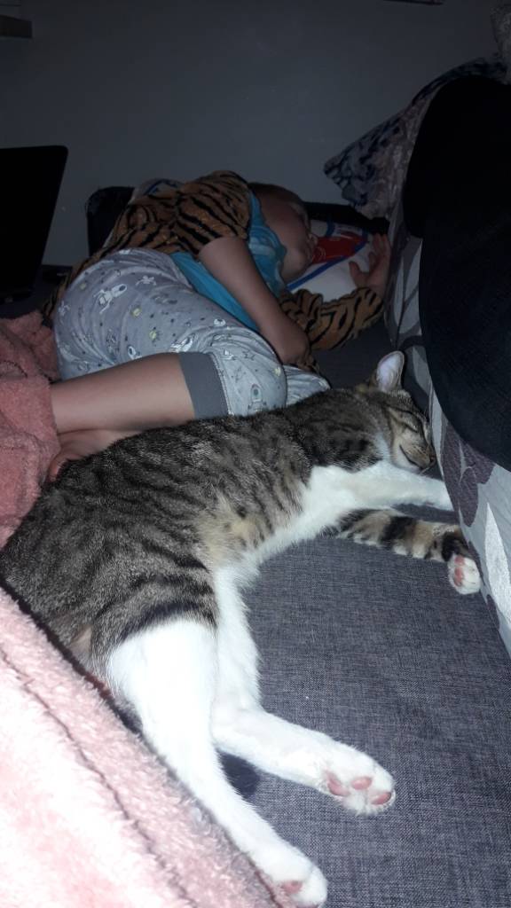 20190706_225135.jpeg