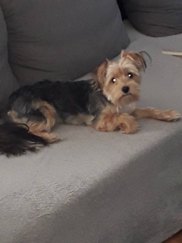 20190818_105825.jpeg