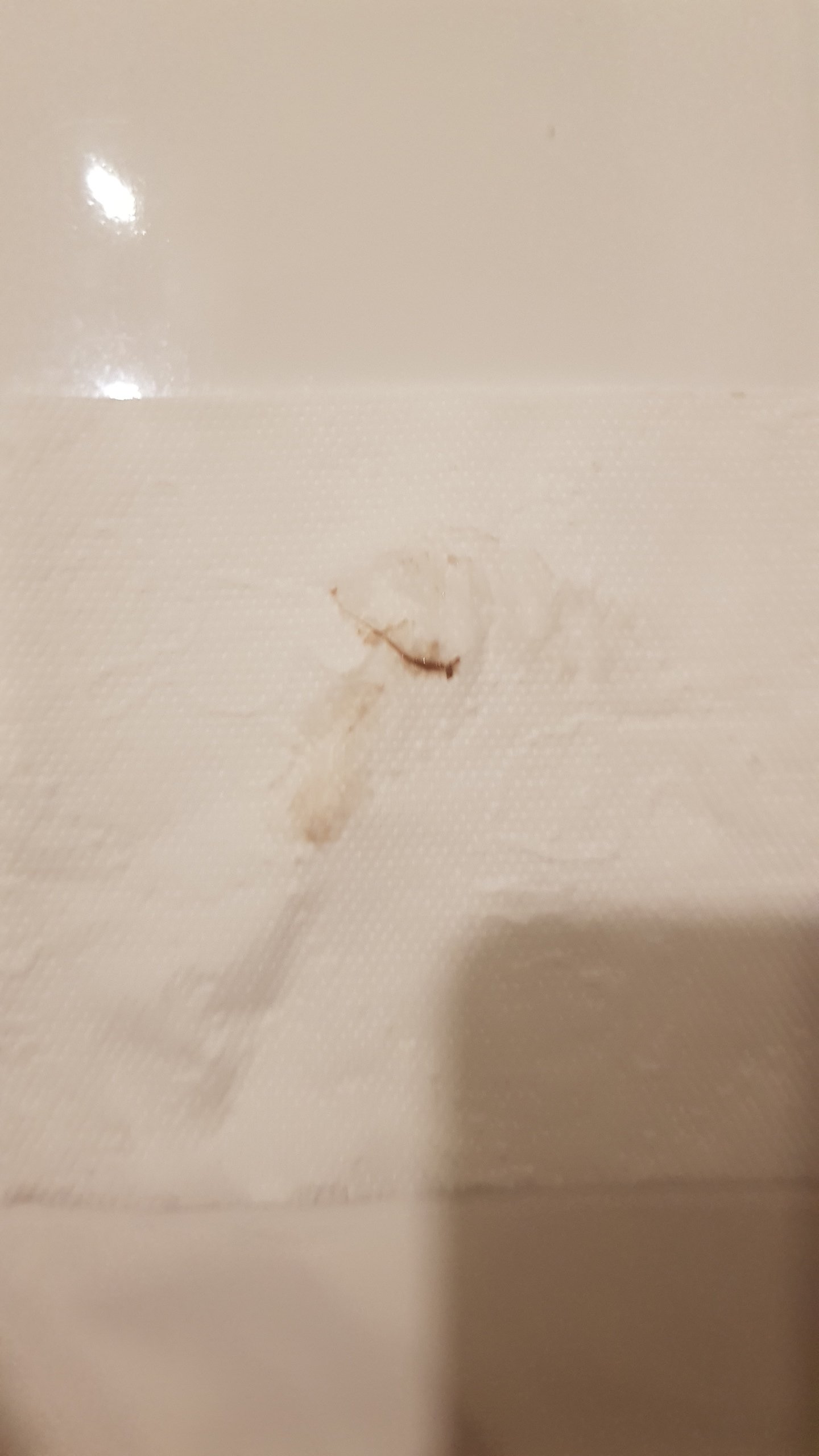20190909_073809.jpg