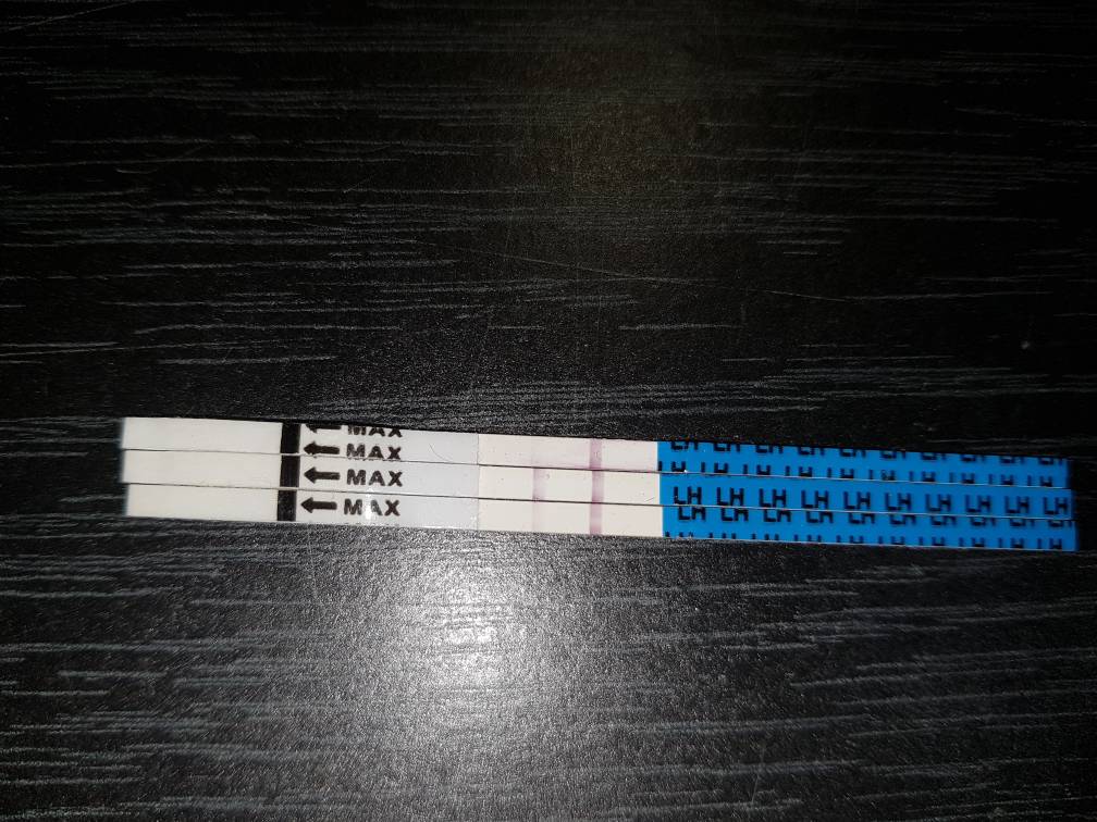 20190926_144025.jpeg