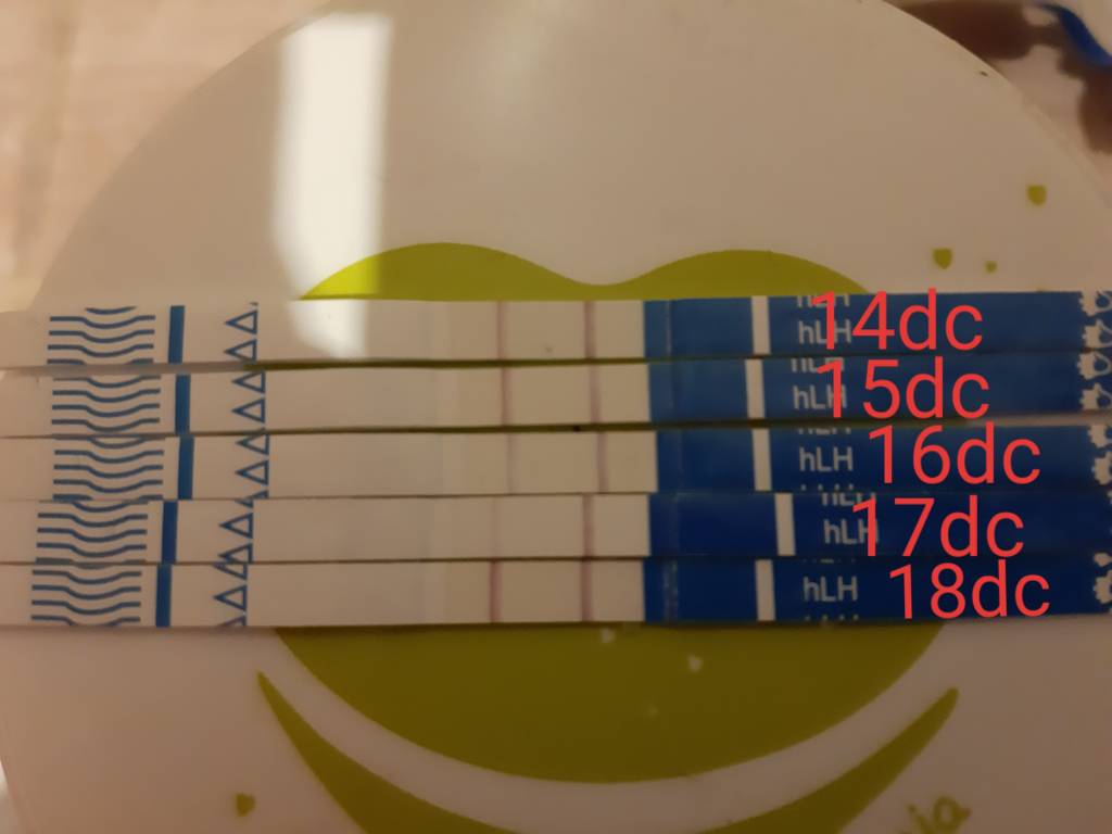 20190929_115127.jpeg