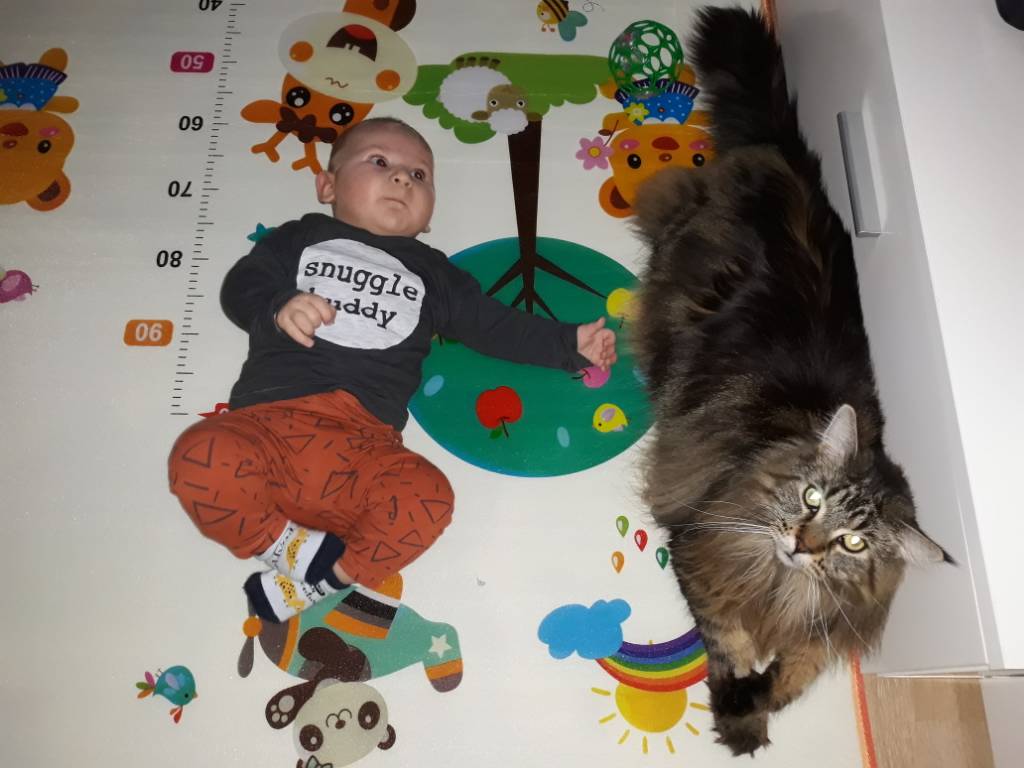 20191128_151039.jpeg