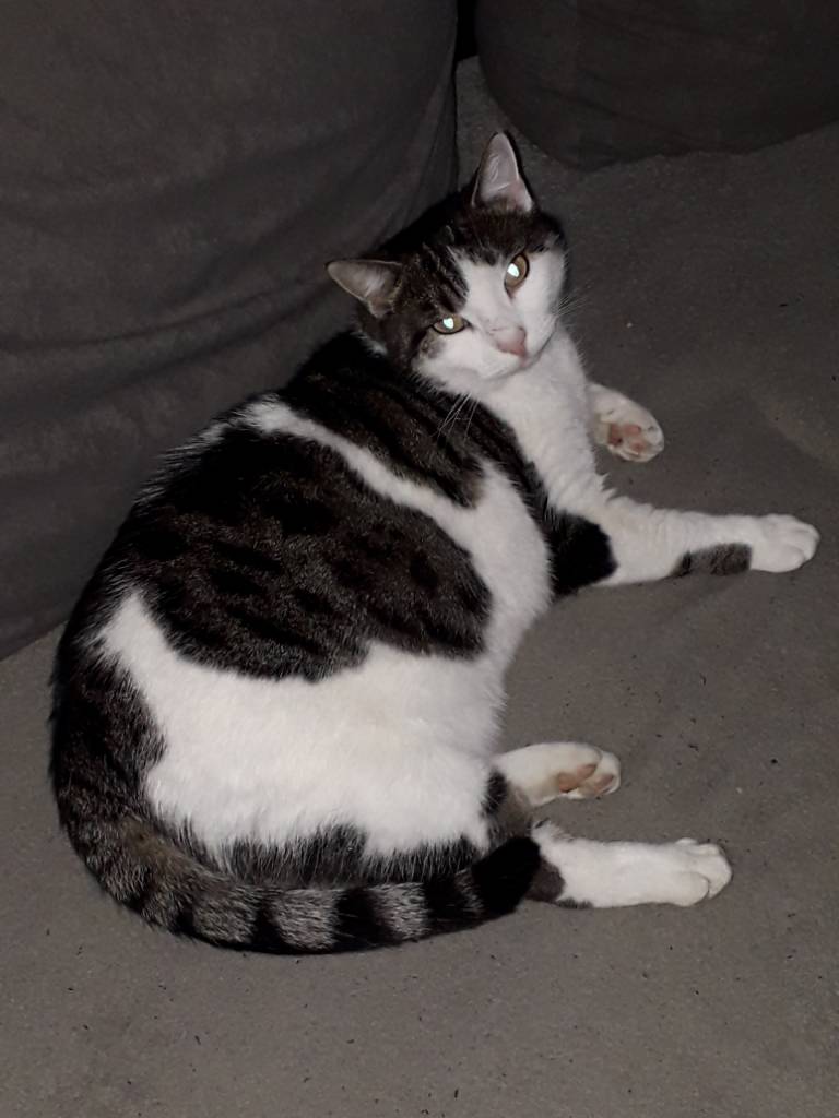 20191209_082121.jpeg