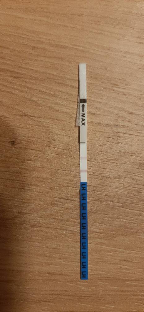 20200115_010809.jpeg