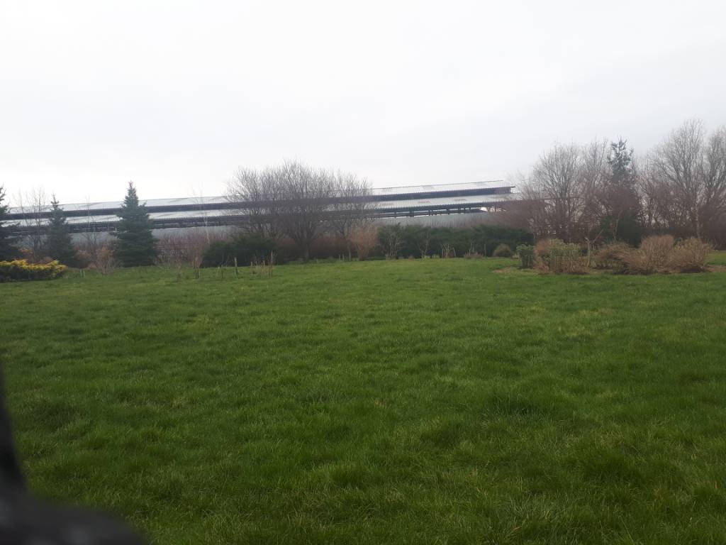 20200306_094136.jpeg