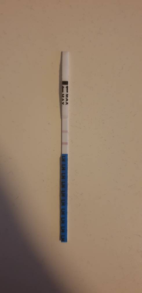 20200403_191209.jpeg