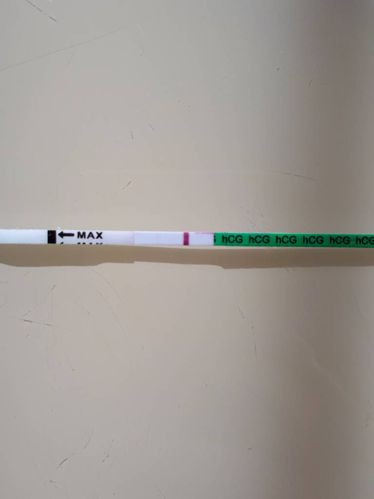 20200409_154846.jpeg