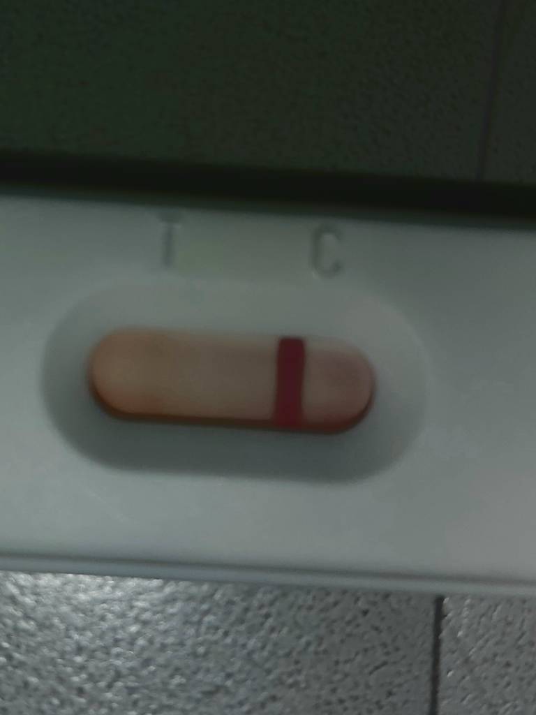 20200908_182831.jpeg