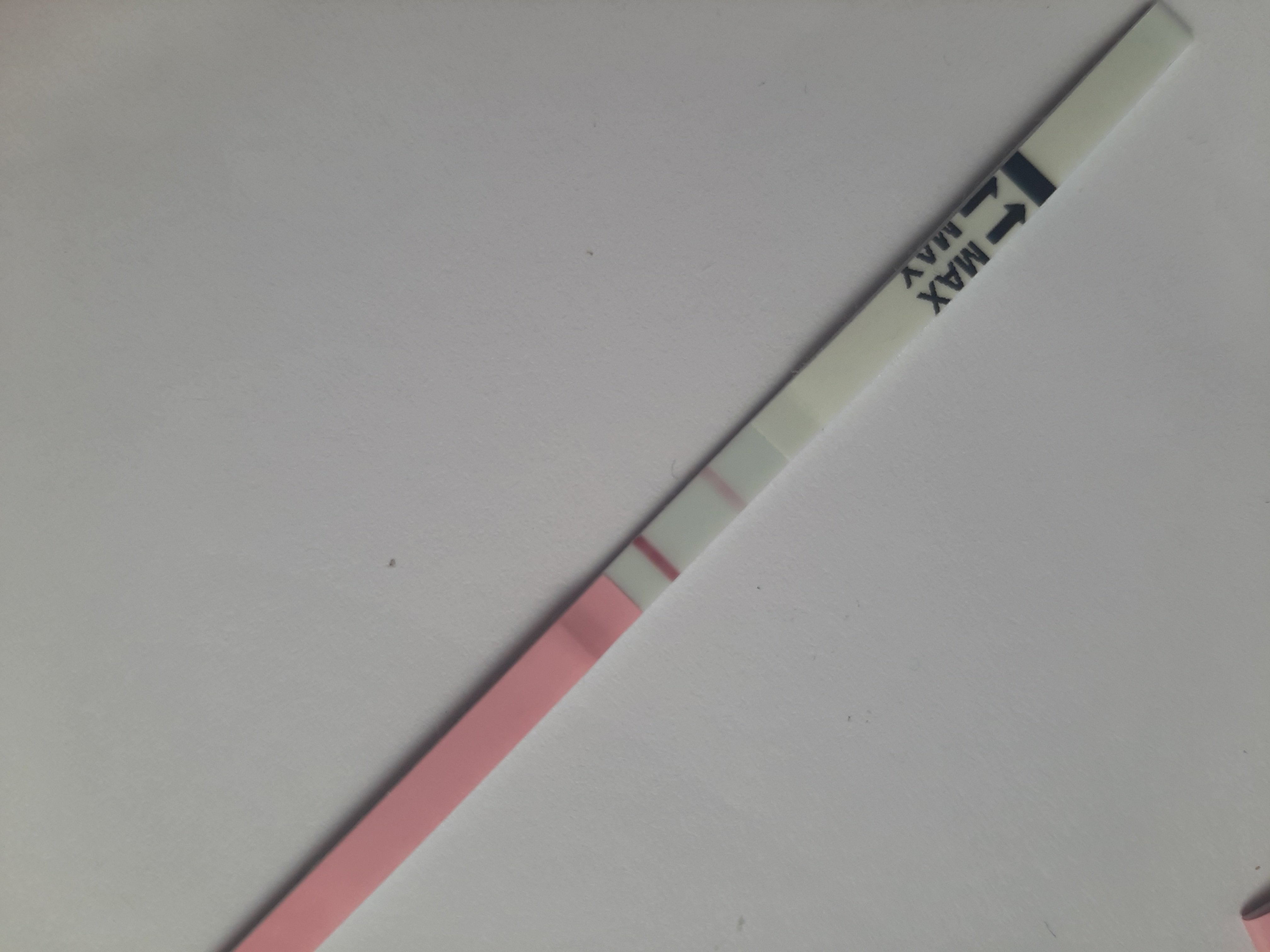20201007_105229.jpg
