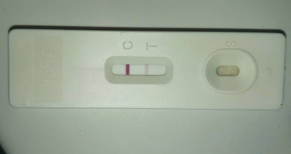 20201018_075606(1).jpeg