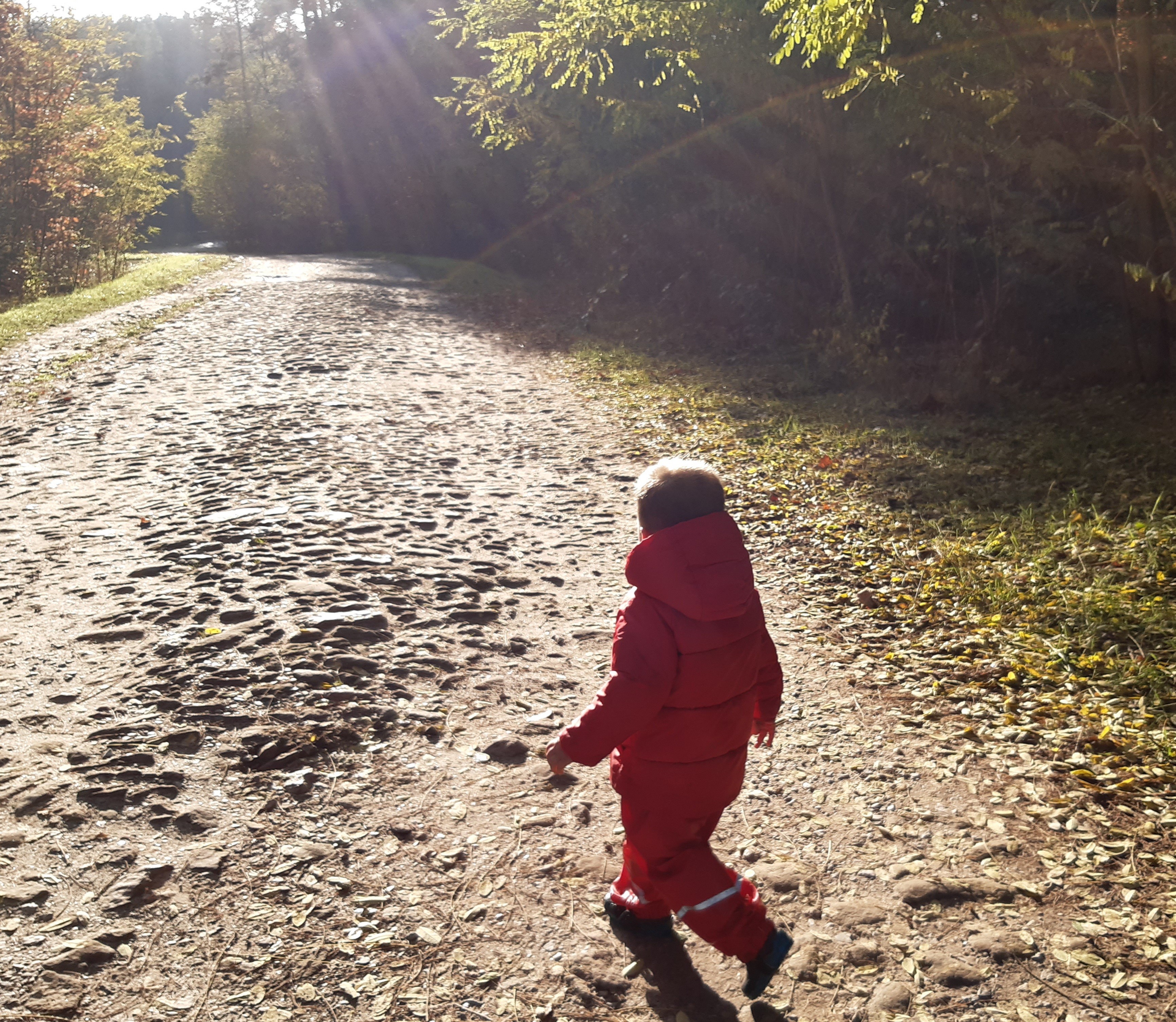20201109_210324.jpg