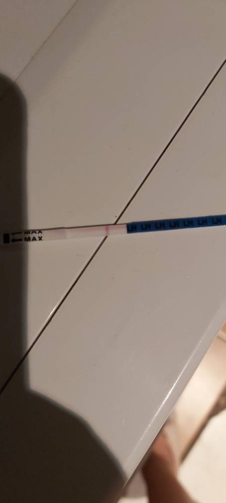 20201121_221817.jpeg