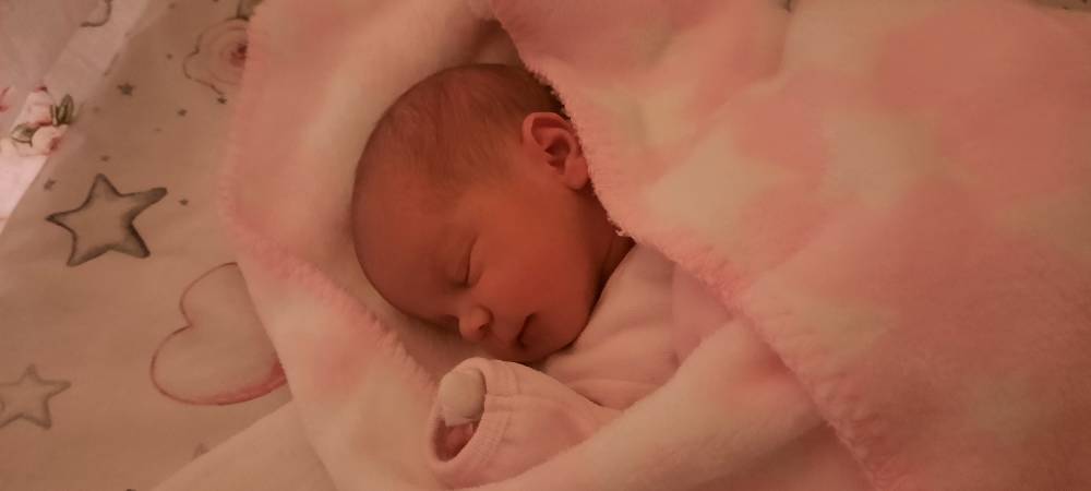 20201223_181831.jpeg