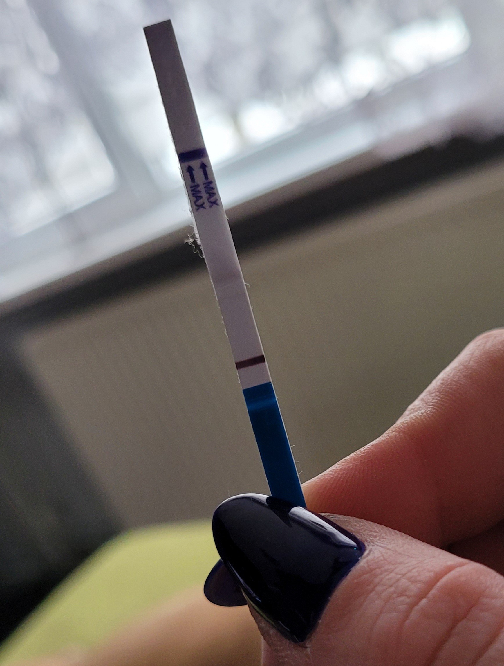20210323_134505.jpg