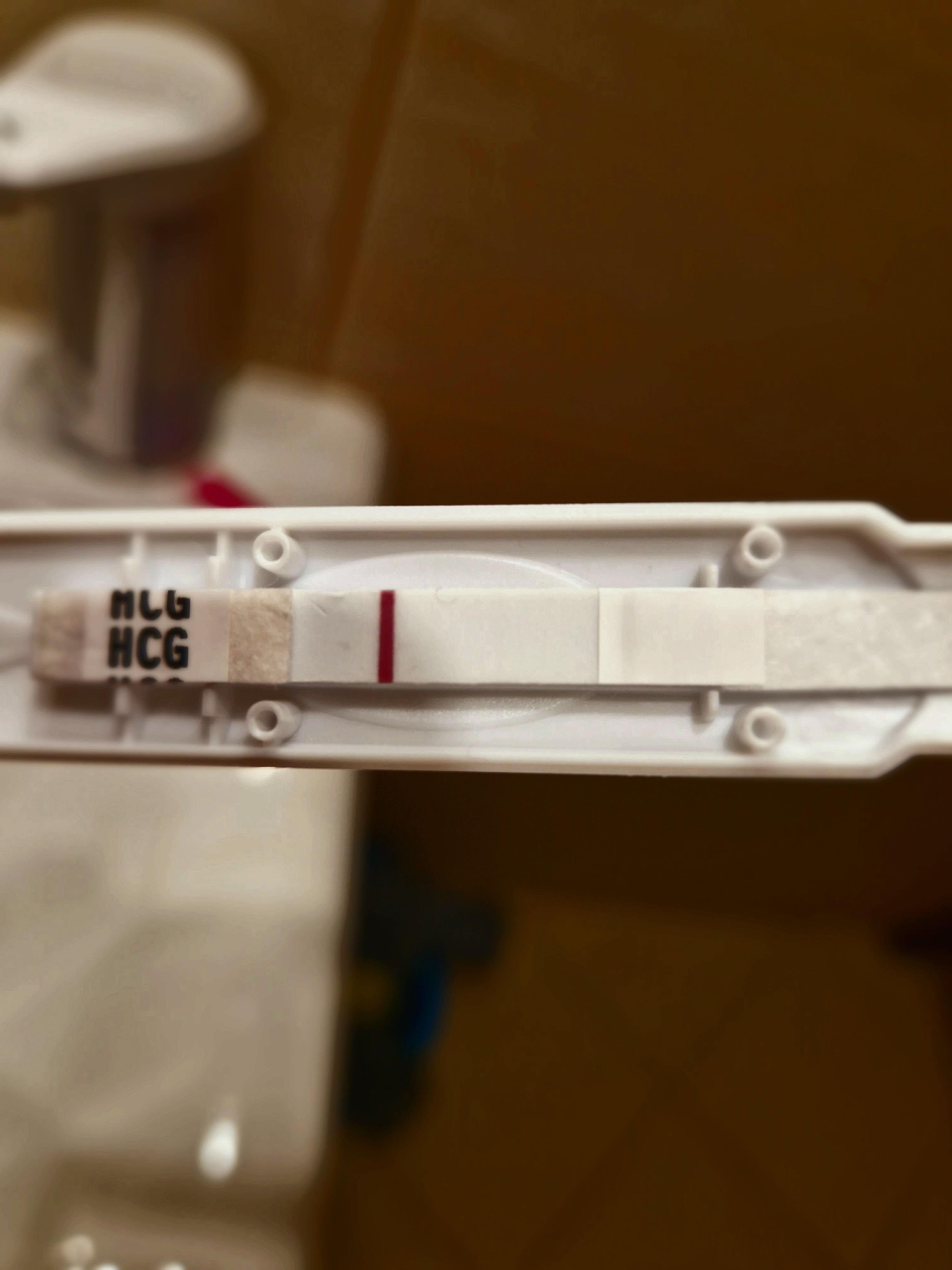 20230119_054521.jpg