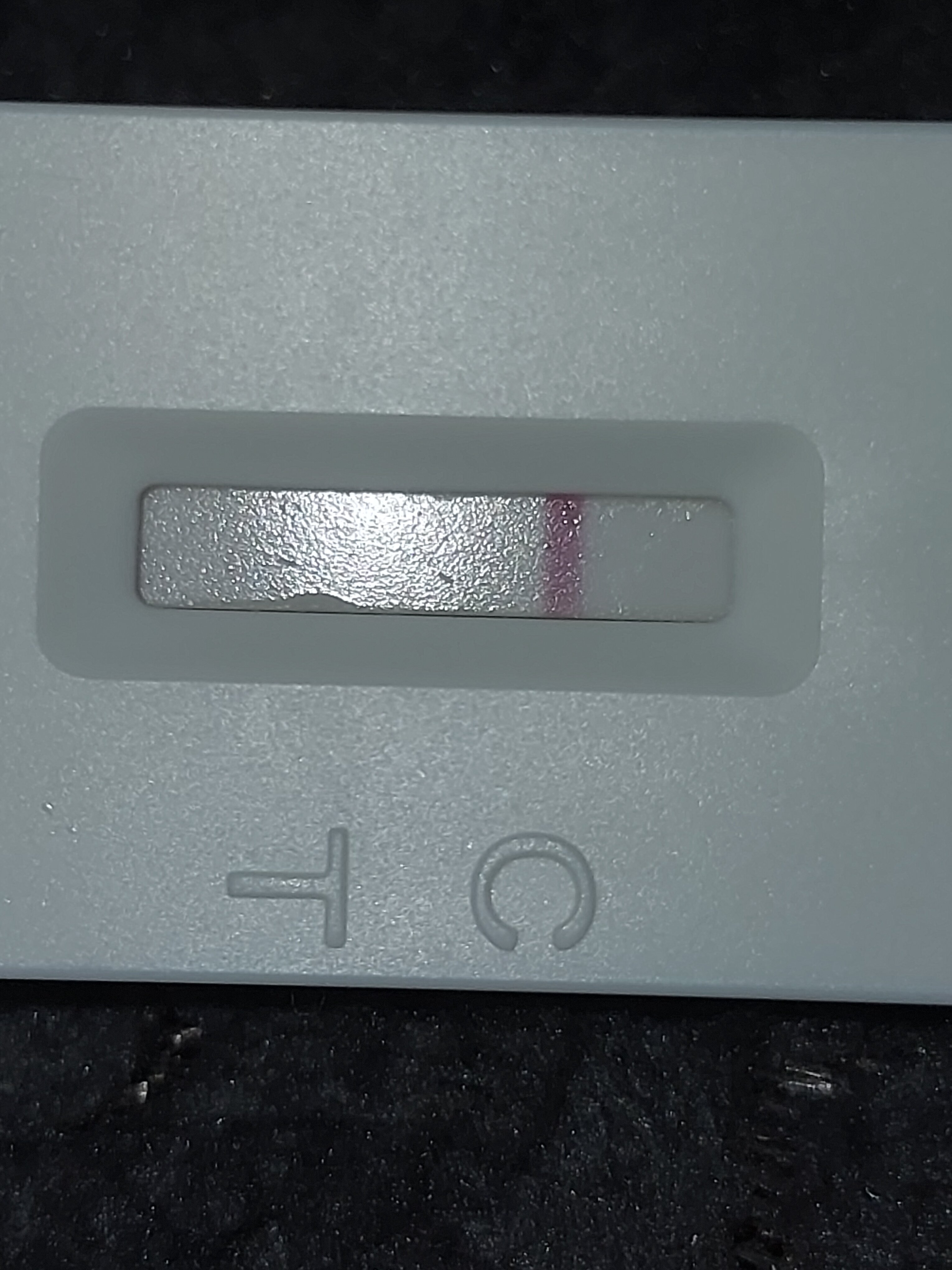 20240312_131517.jpg