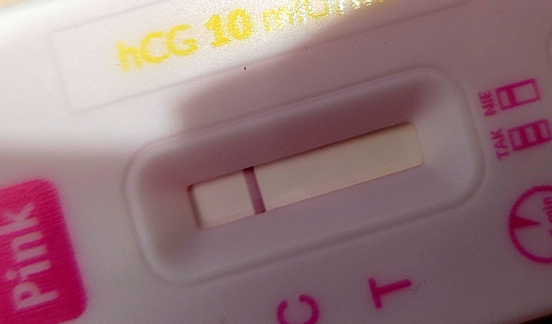 20240411_194126.jpg