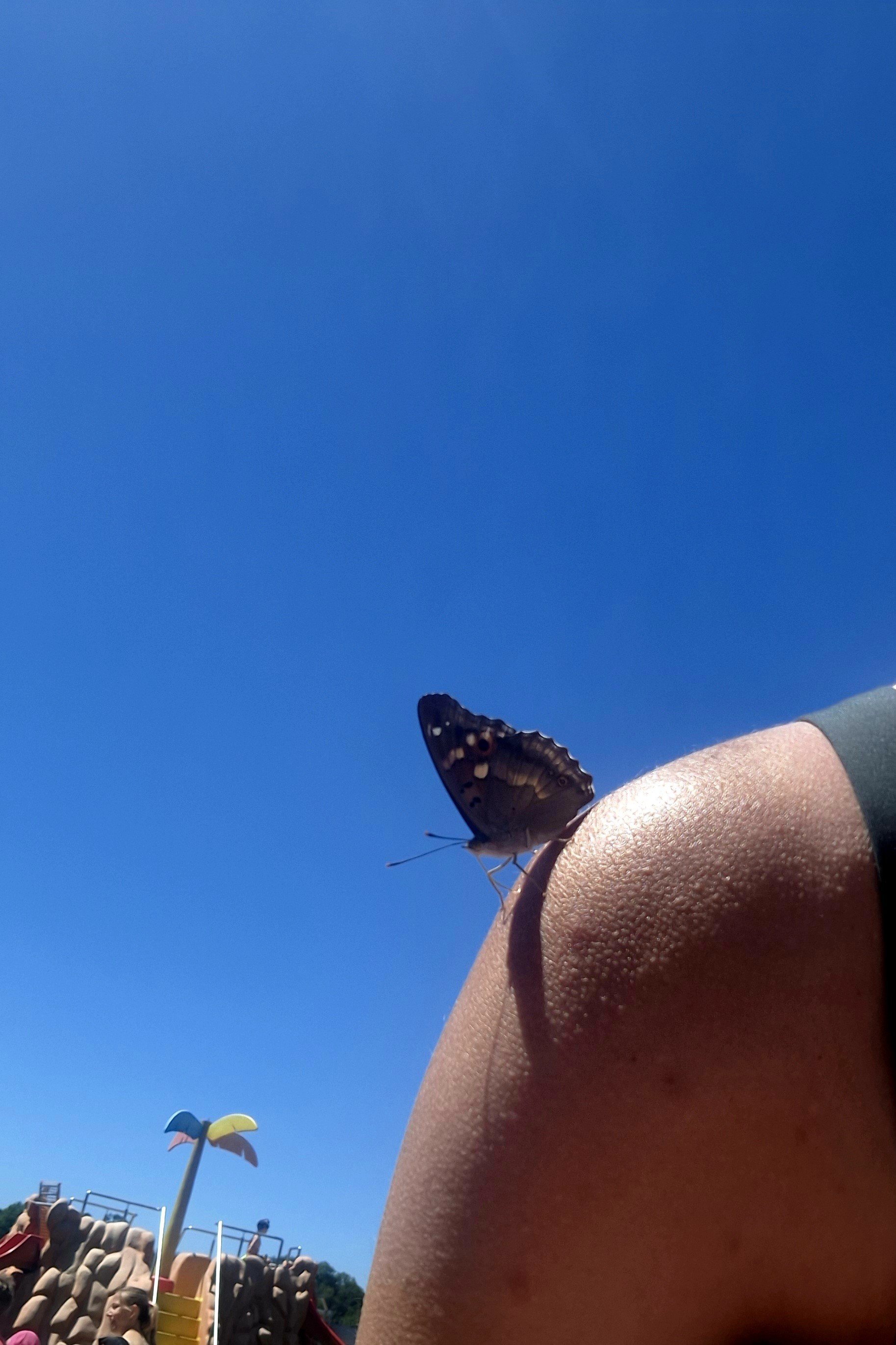 20250701_124425.jpg