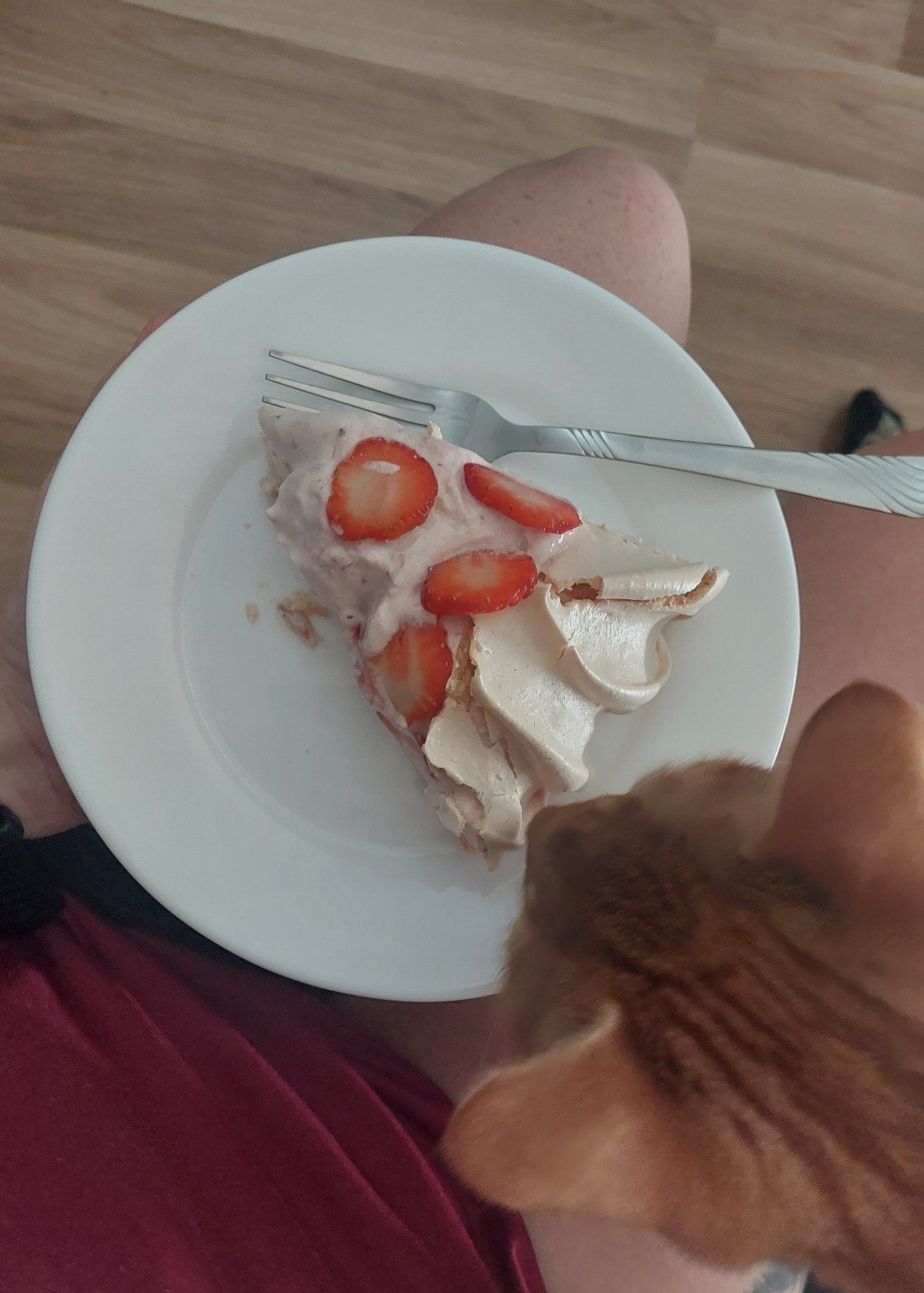 20250813_091433.jpg