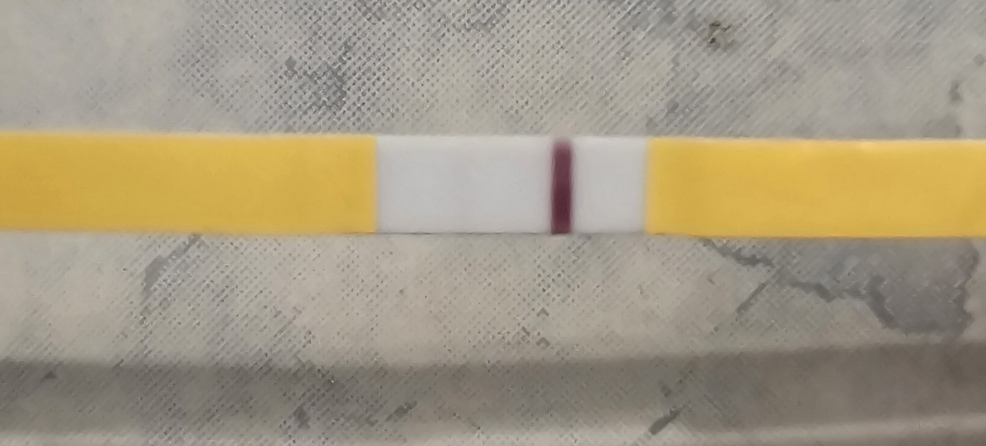 20250822_081222.jpg
