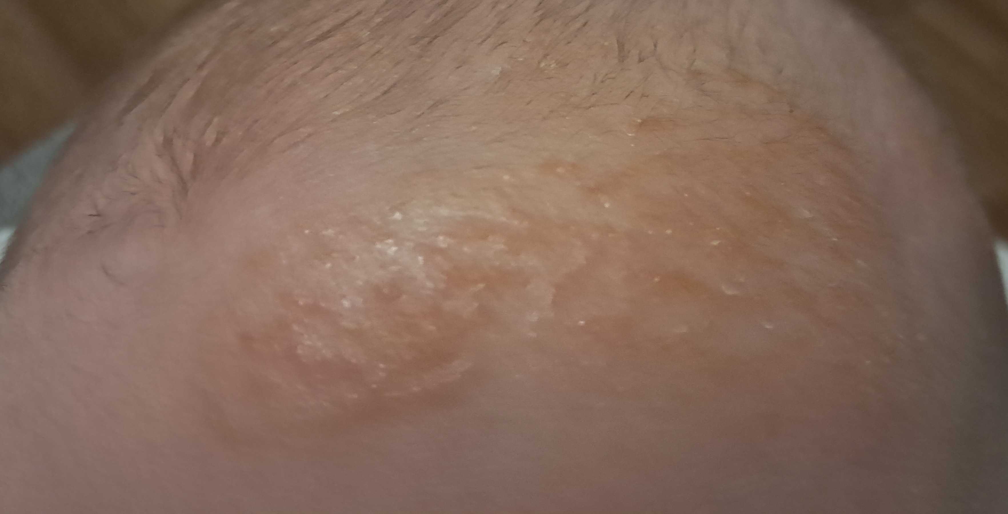 20251208_155528.jpg