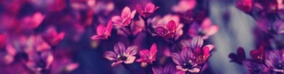 Rosse94