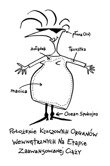349_polozenie_narzadow_487711f5ea58d.jpg