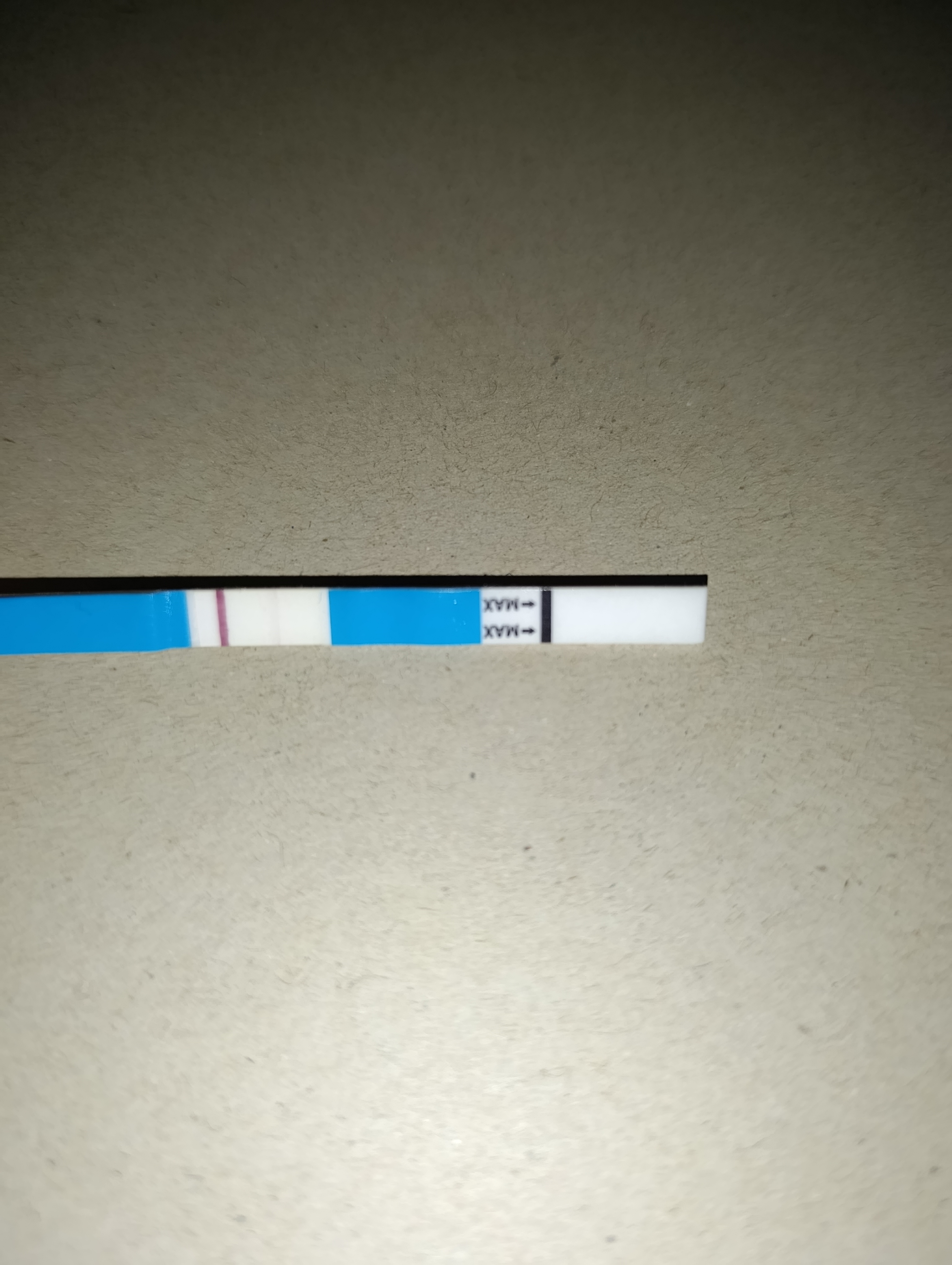 3778.jpg